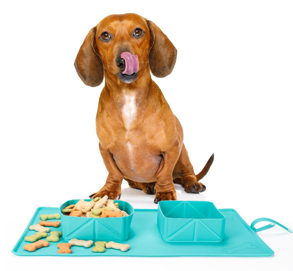 Travel Dog Bowls