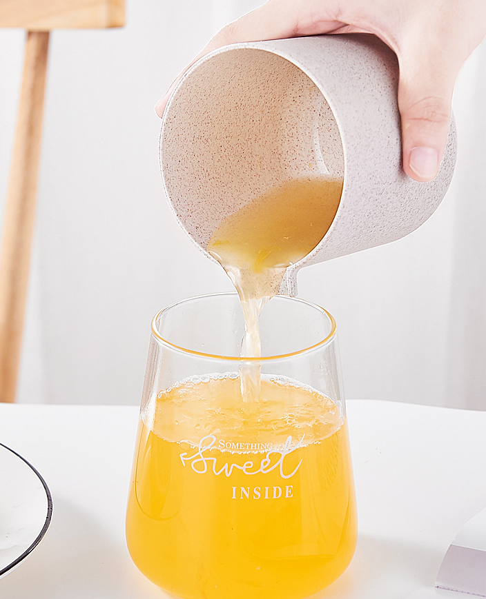 Travel Juicers