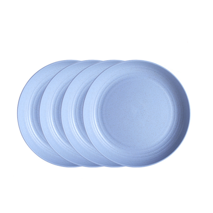 4 Piece Pastel Plate Set