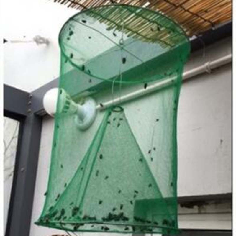 Fly Traps