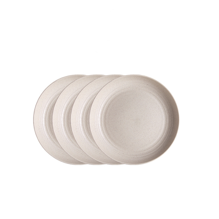 4 Piece Pastel Plate Set