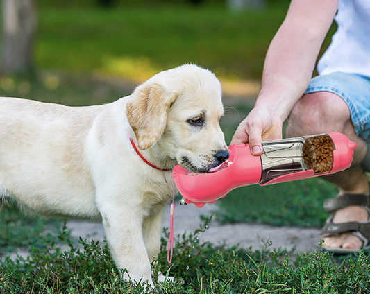 3-in-1 Dog Water Bottle