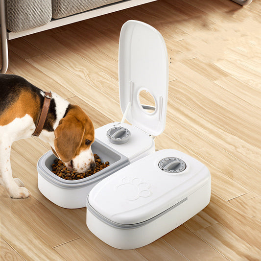 Automatic Pet Feeders