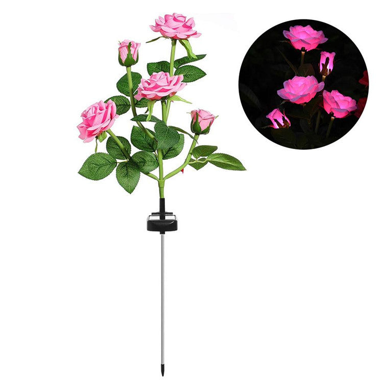Solar Roses