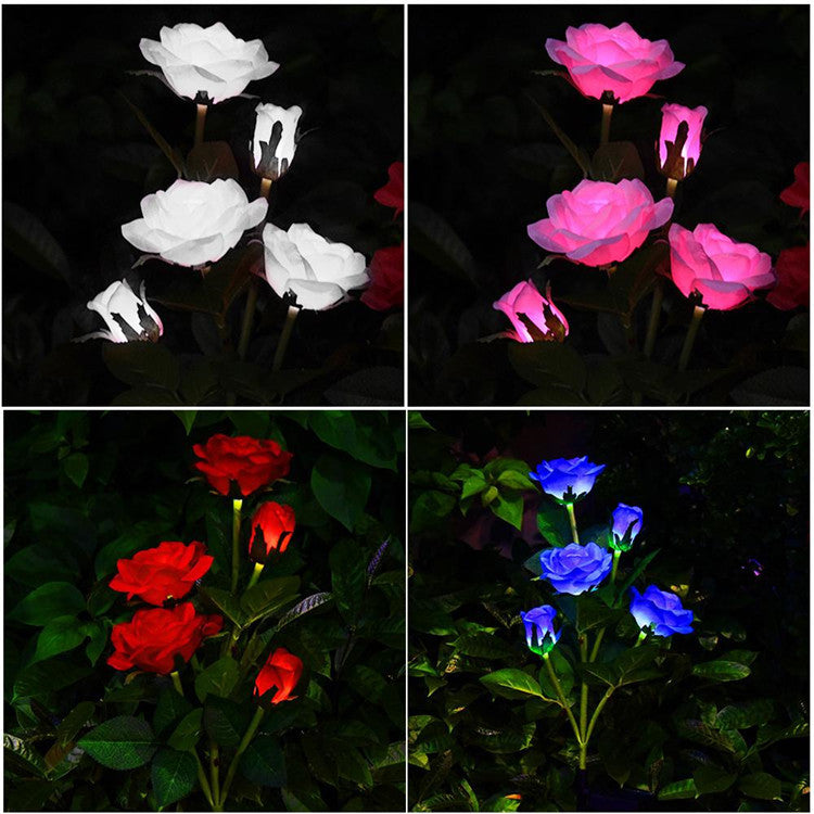 Solar Roses