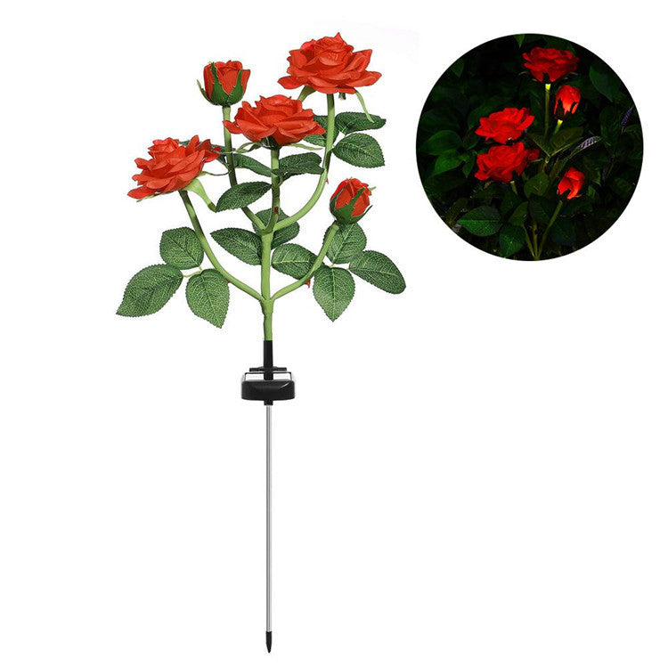 Solar Roses