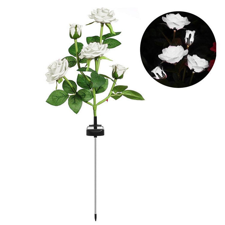 Solar Roses