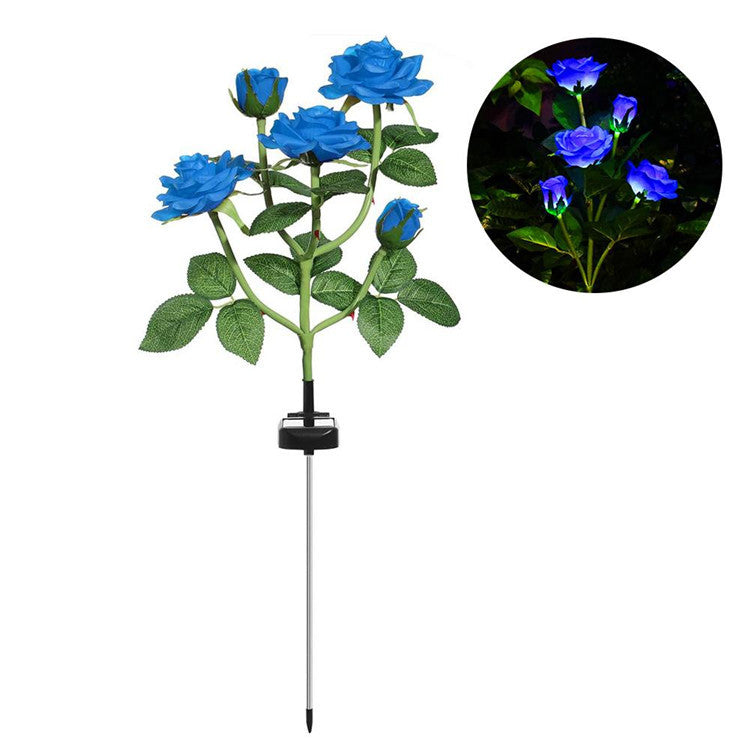 Solar Roses