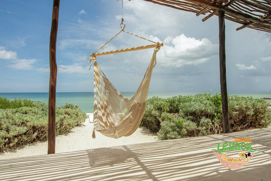 Fraser Deluxe Hammock Chair