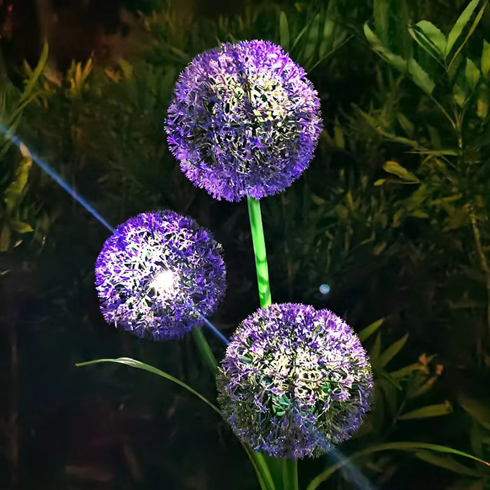 Solar Dandelions